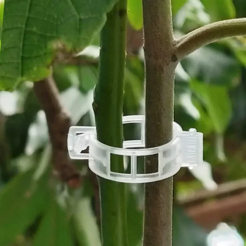 Plant Support Clips Reusable P - Smart Garden Kit ulasan dan harga
