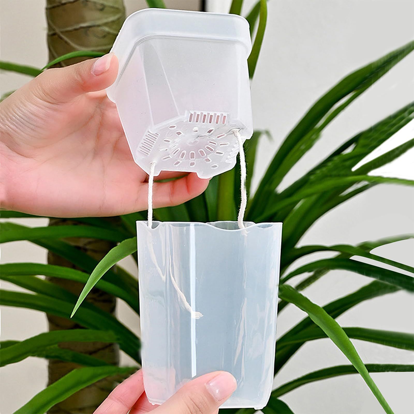 16/32 Pack Self-Watering Plant - Plant Monitor ulasan dan harga