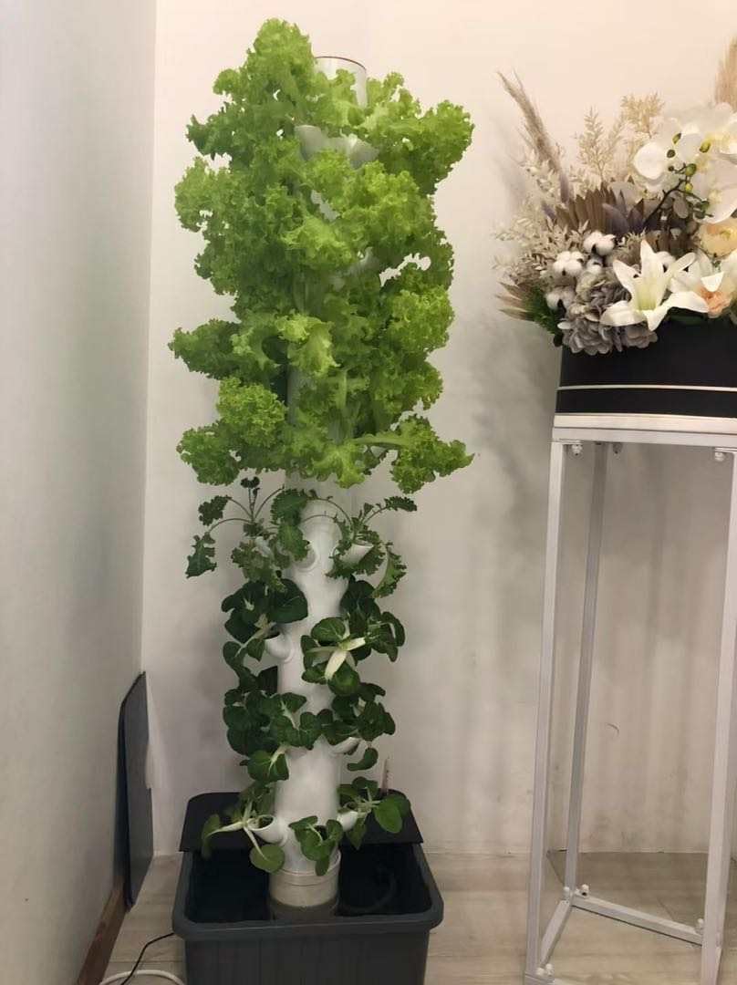 Vertical Hydroponic Grow Tower - Hydroponic Tower ulasan dan harga