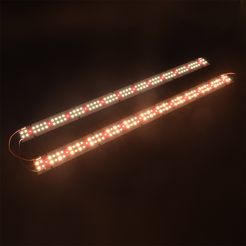 High Quality IP55 Rated COB LE - Grow Light Led ulasan dan harga