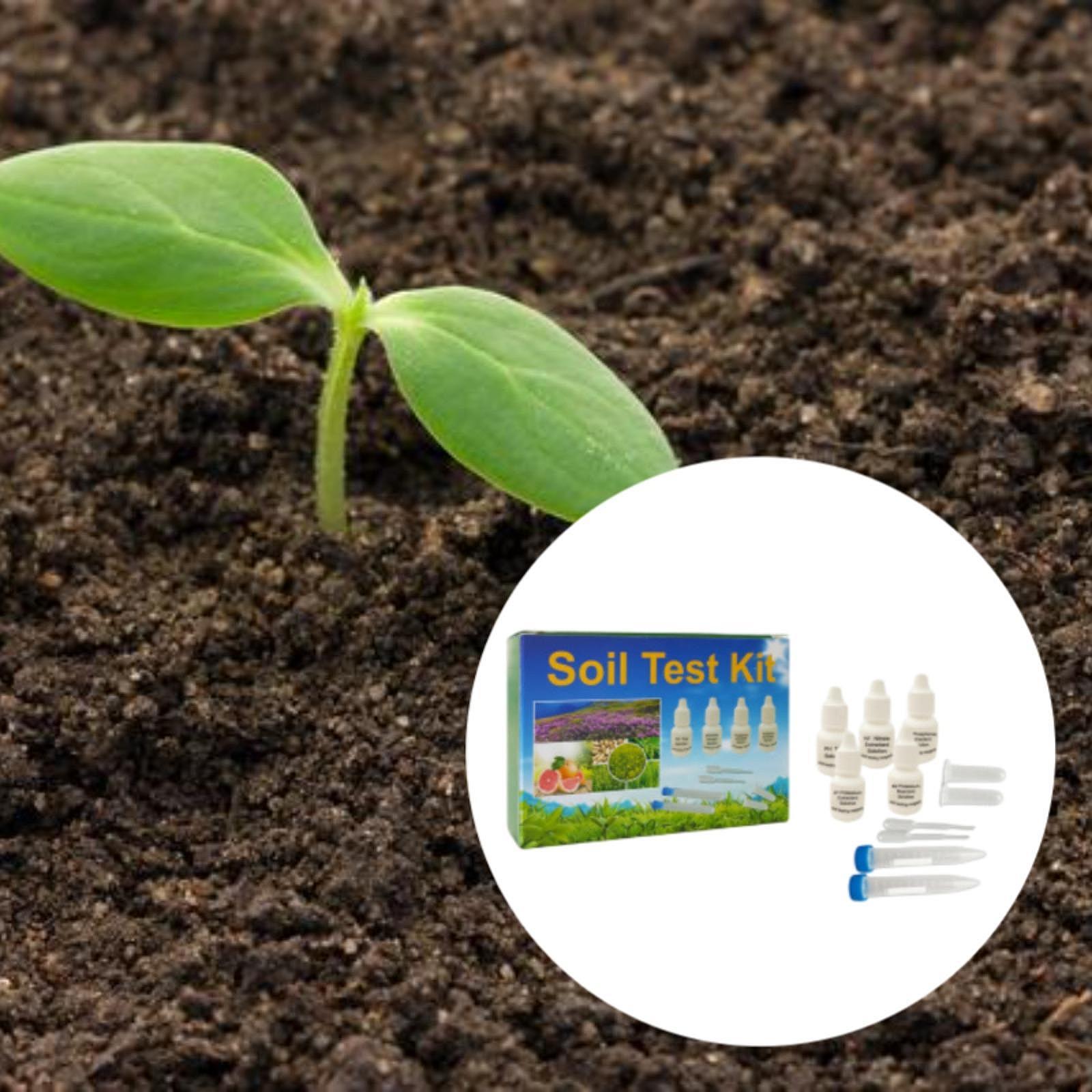 Soil Test Kit Easy to Use Resu - Indoor Garden Kit ulasan dan harga