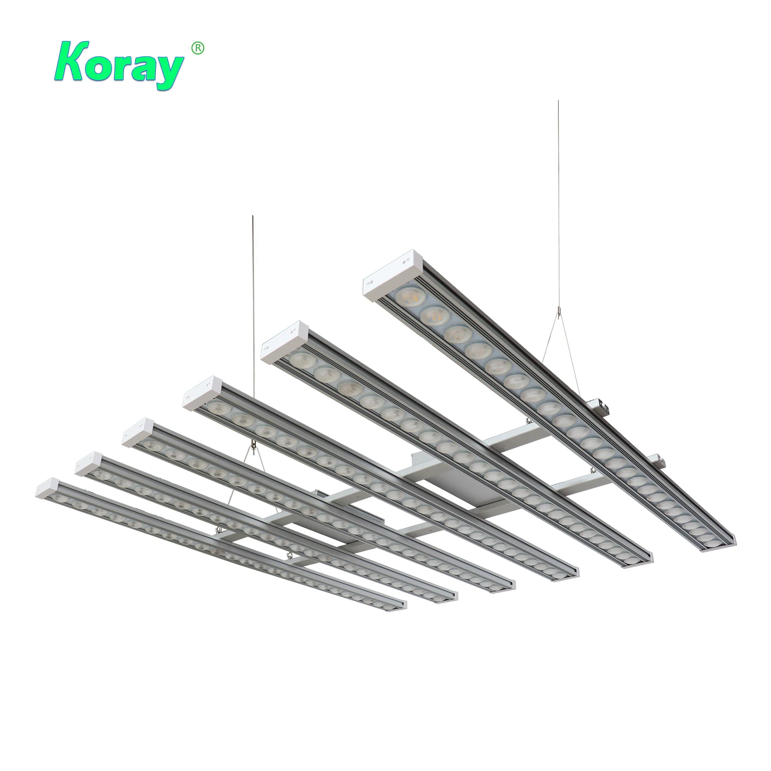 Koray 900W Indoor full spectru - Grow Light Led ulasan dan harga