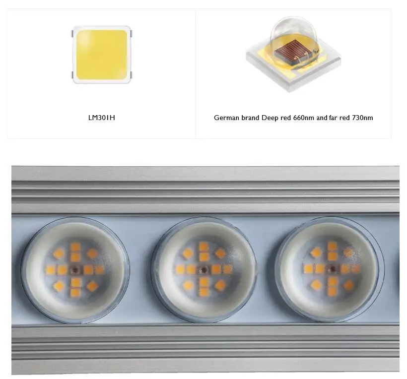 Koray 900W Indoor full spectru - Grow Light Led ulasan dan harga